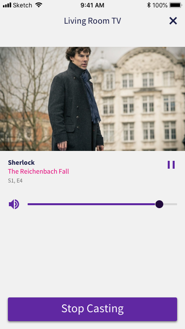 Cast to Dialog screen on iPhone