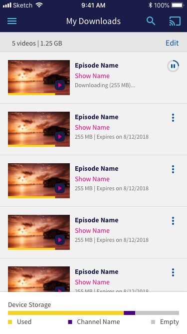 Downloads Screen on iPhone