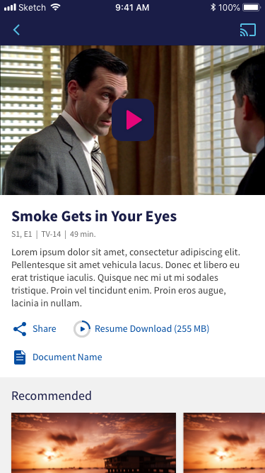 Video Detail screen on iPhone